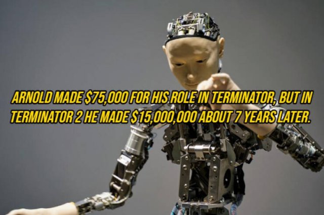 Random Facts (14 pics)