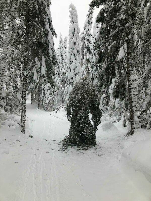 Scary Photos (25 pics)