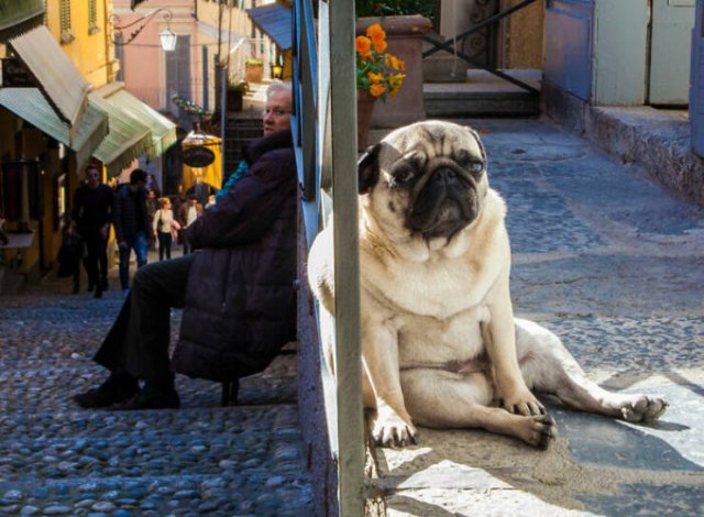 Funny Vacation Photos (22 pics)