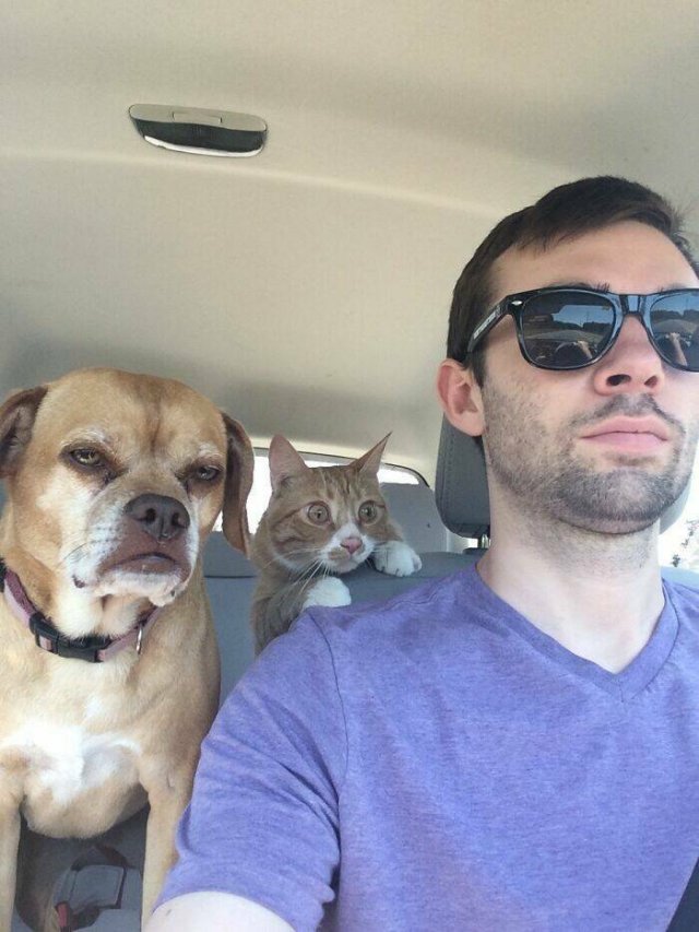 Funny Vacation Photos (22 pics)