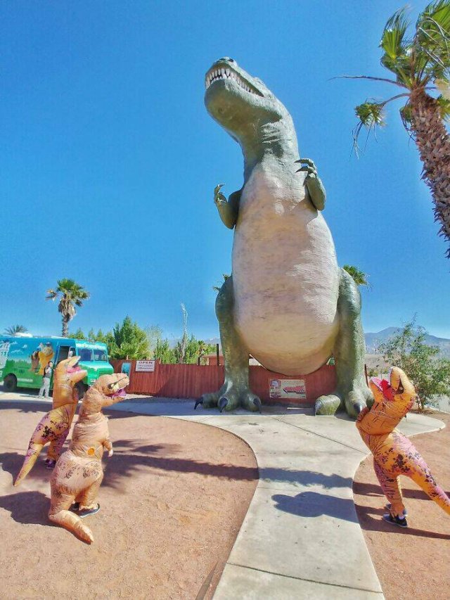 Funny Vacation Photos (22 pics)