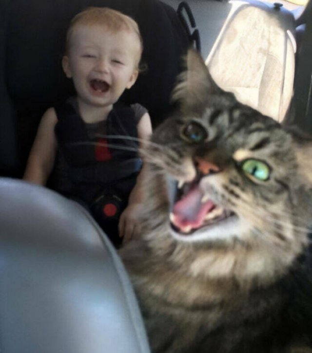 Funny Vacation Photos (22 pics)