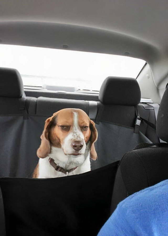 Funny Vacation Photos (22 pics)