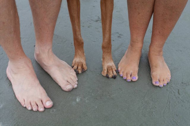 Funny Vacation Photos (22 pics)