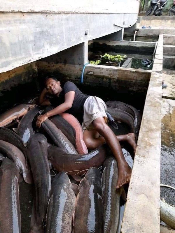 Weird Finds And Situations (36 pics)