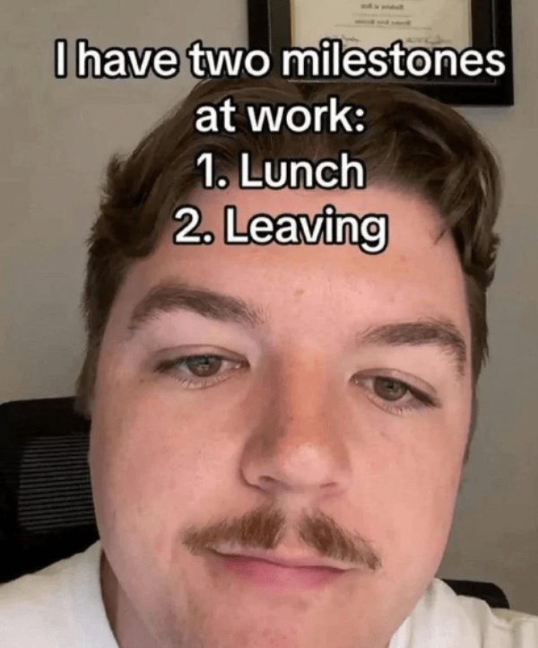Work Memes (29 pics)