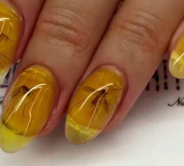 Weird Finds And Situations (36 pics)