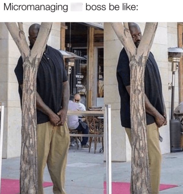 Work Memes (29 pics)