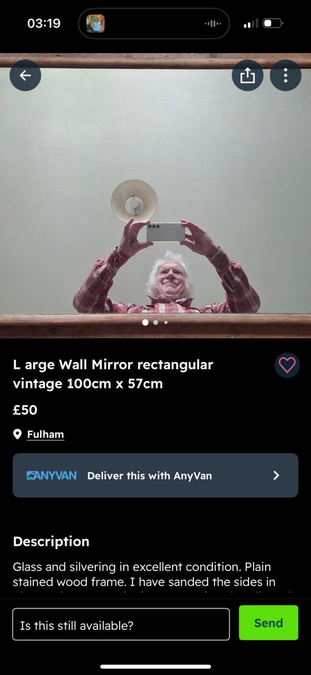 They Are Trying To Sell A Mirror (25 pics)