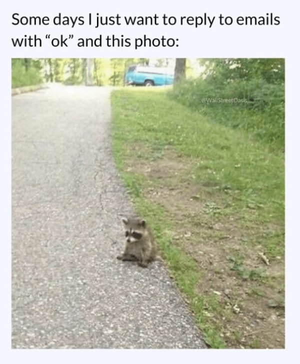 Work Memes (29 pics)