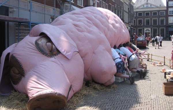 Weird Finds And Situations (36 pics)