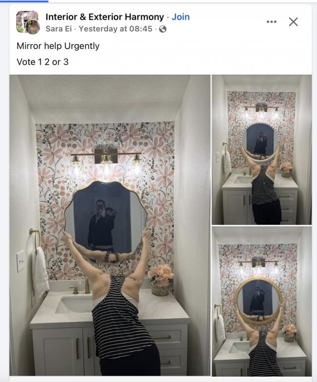 They Are Trying To Sell A Mirror (25 pics)