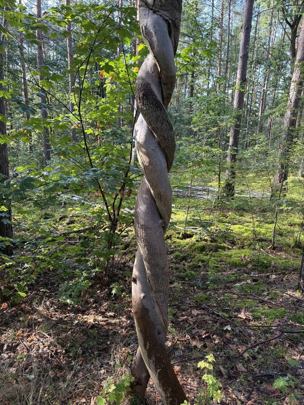 Interesting Finds (23 pics)