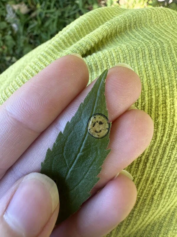 Interesting Finds (23 pics)