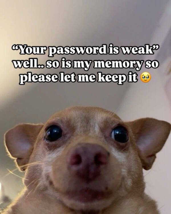 Family Memes (25 pics)