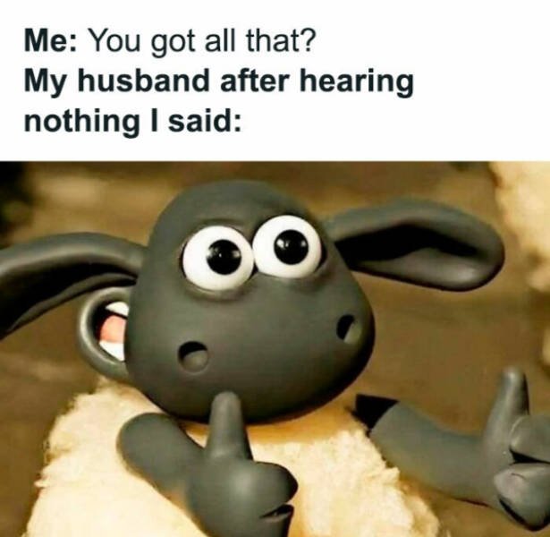 Family Memes (25 pics)