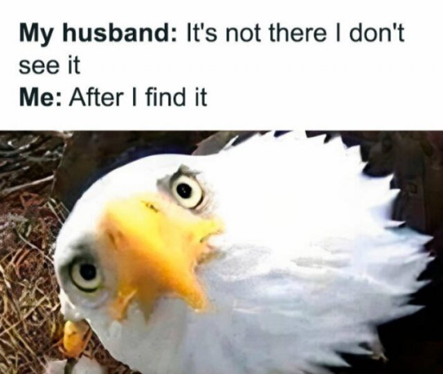Family Memes (25 pics)
