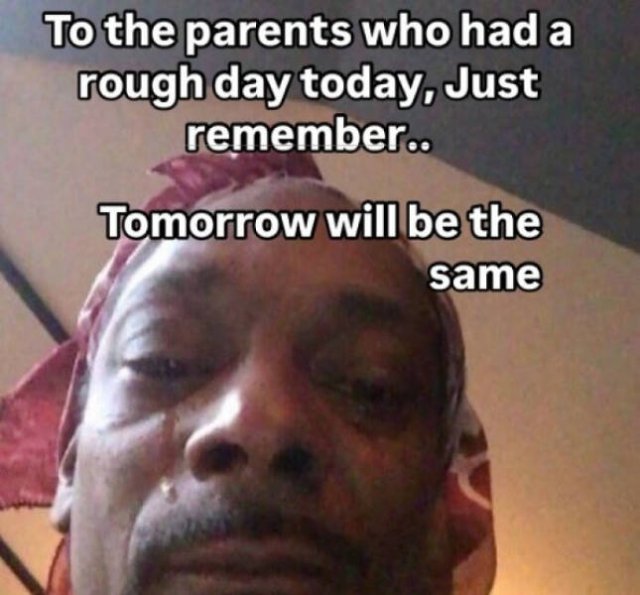 Family Memes (25 pics)
