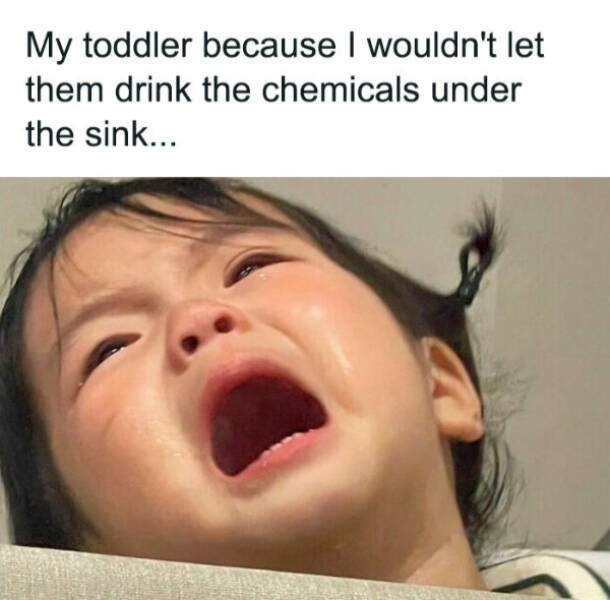 Family Memes (25 pics)