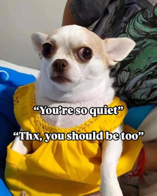 Family Memes (25 pics)