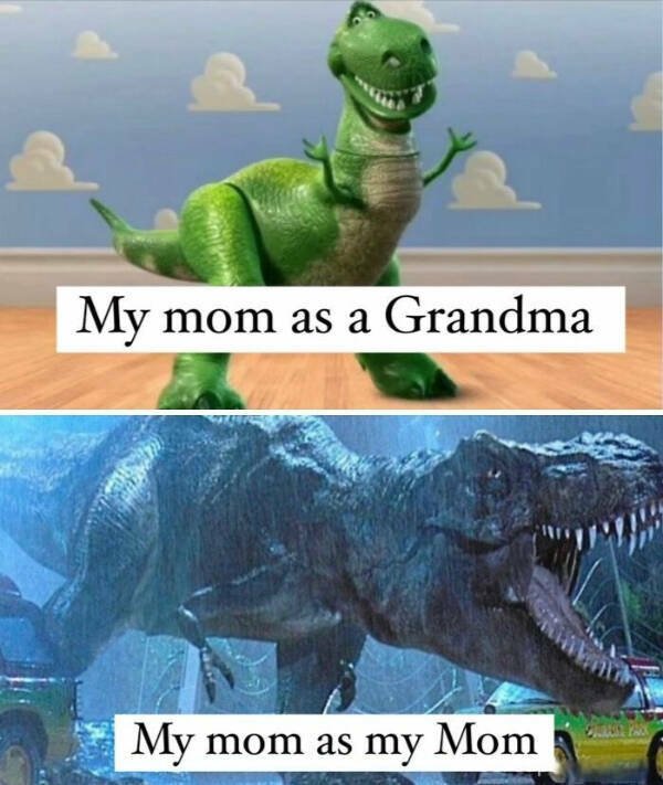 Family Memes (25 pics)