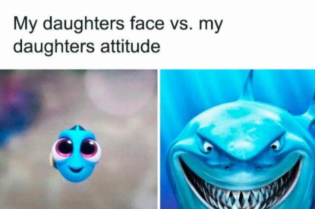 Family Memes (25 pics)