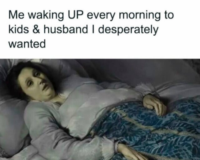 Family Memes (25 pics)