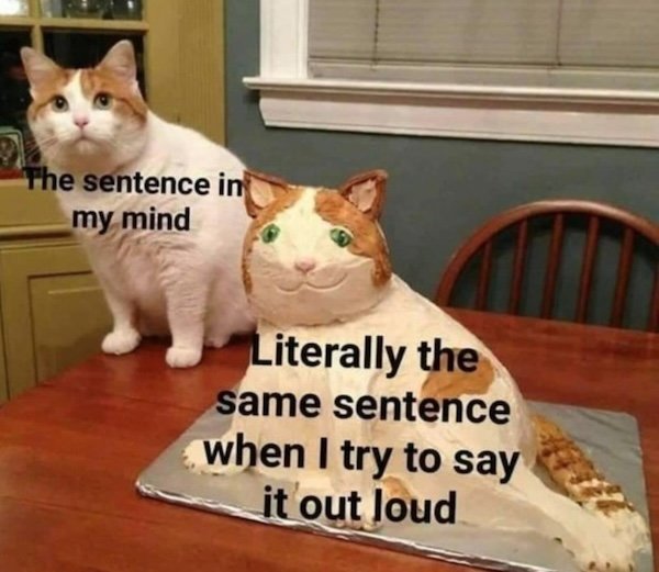 Memes For Cats Lovers (20 pics)