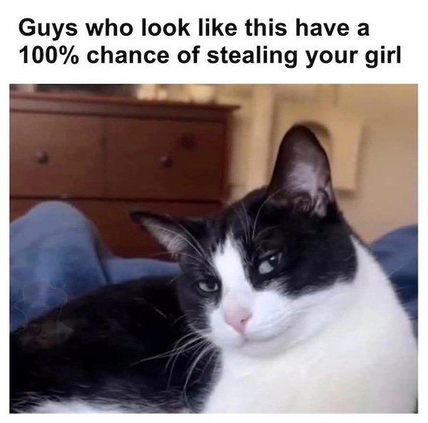 Memes For Cats Lovers (20 pics)