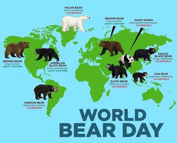 Fascinating Maps And Data (28 pics)