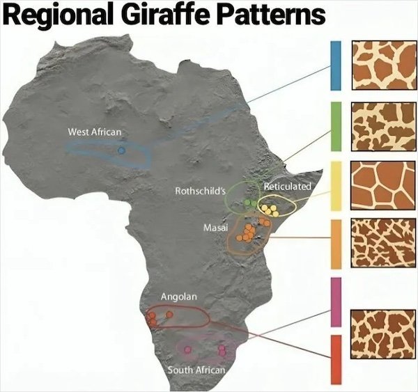 Fascinating Maps And Data (28 pics)
