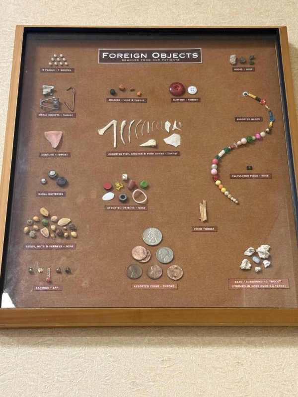 Interesting Finds (24 pics)