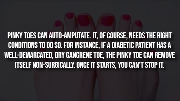 Creepy Facts (14 pics)
