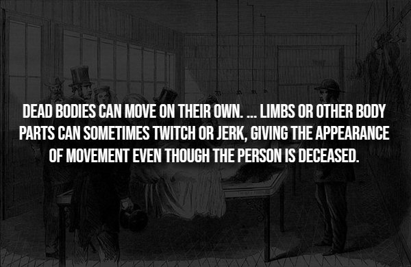 Creepy Facts (14 pics)