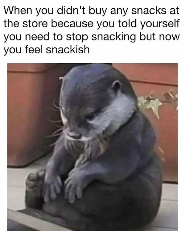 Truthful Memes (34 pics)