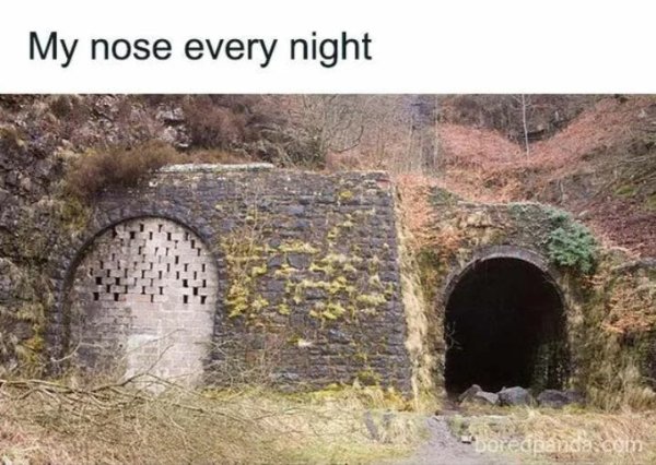Random Memes (24 pics)