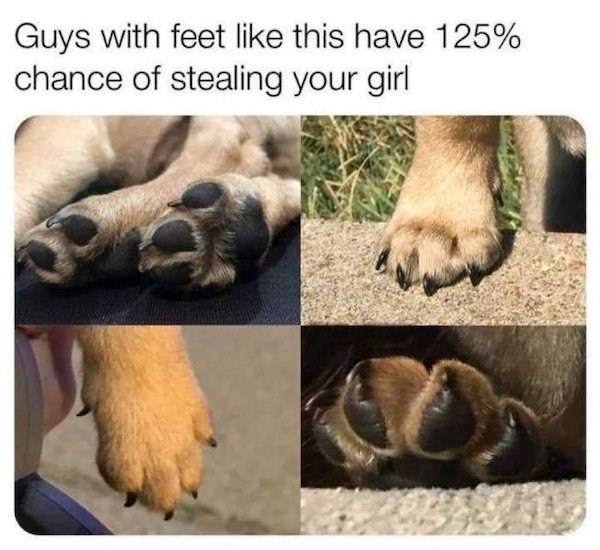 Truthful Memes (34 pics)