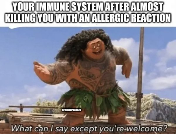 Random Memes (24 pics)