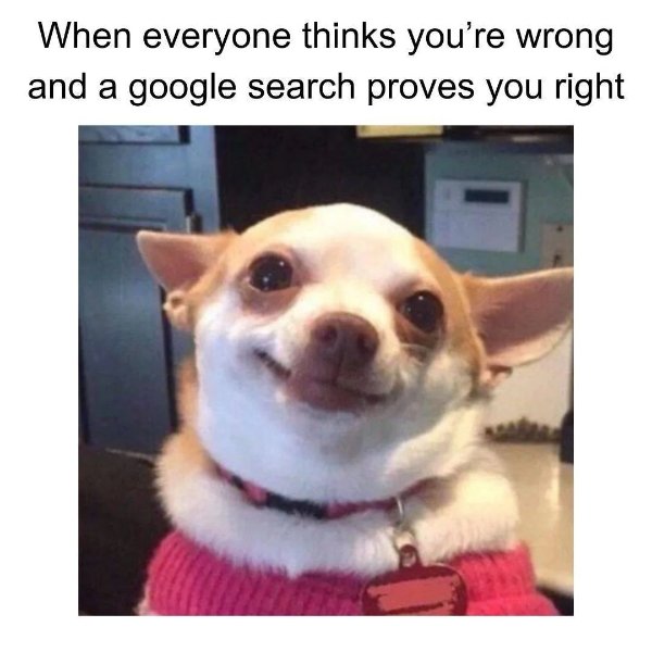 Random Memes (24 pics)
