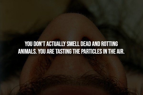 Creepy Facts (14 pics)