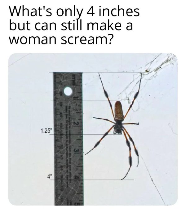 Random Memes (24 pics)