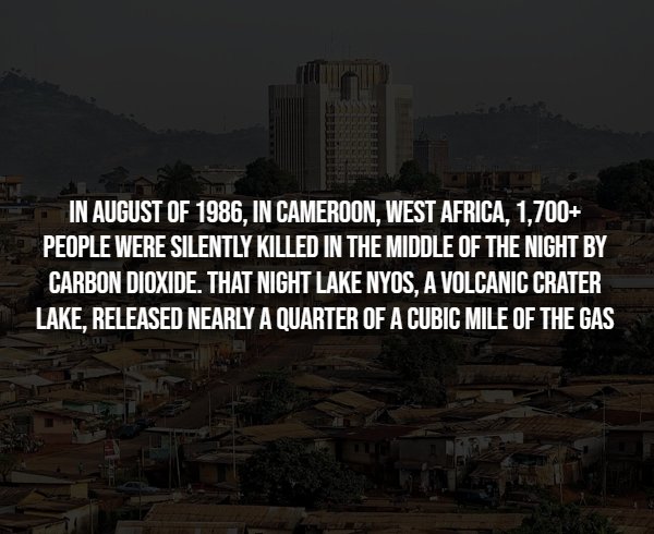 Creepy Facts (14 pics)