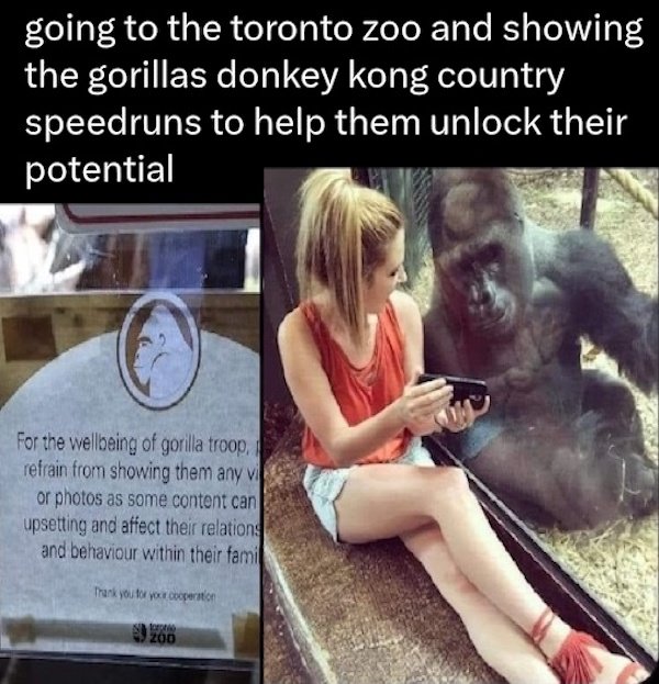 Hilarious Jokes (36 pics)