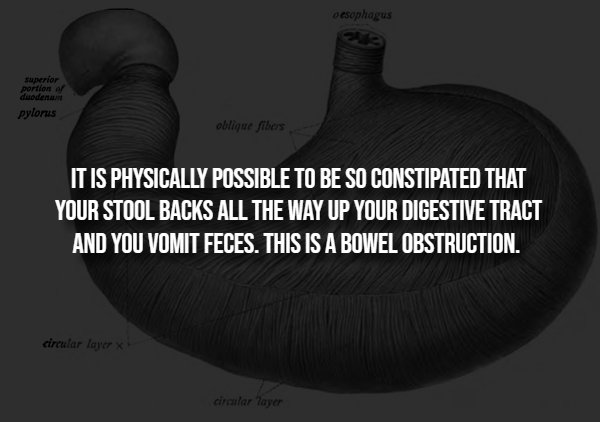 Creepy Facts (14 pics)