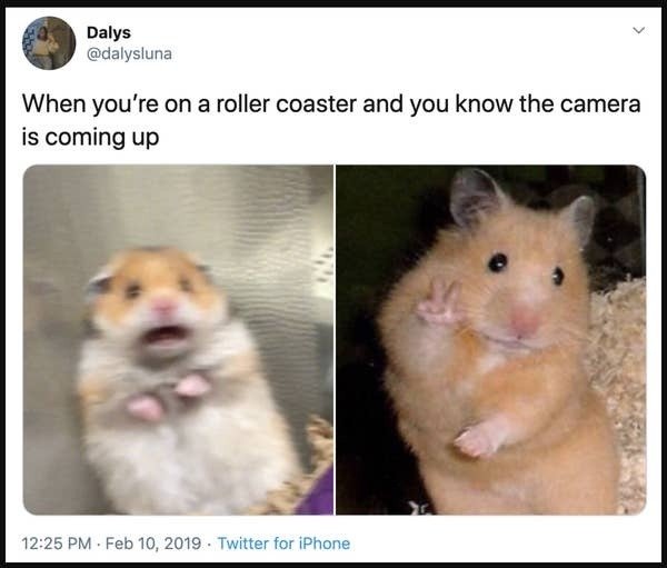 Truthful Memes (34 pics)