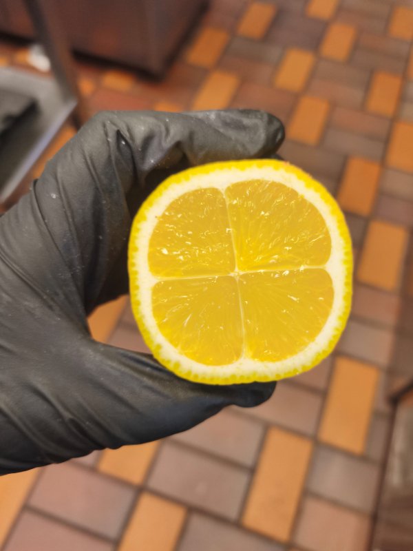 Interesting Finds (24 pics)