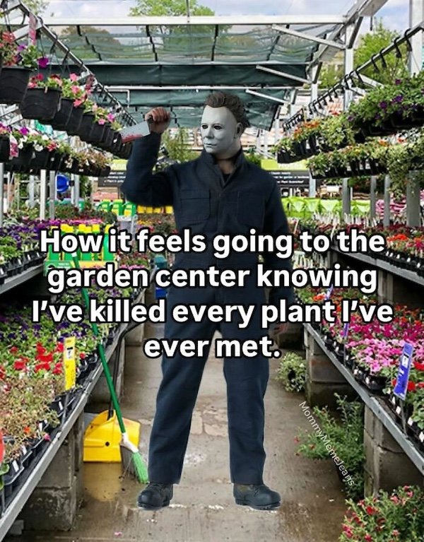 Truthful Memes (34 pics)