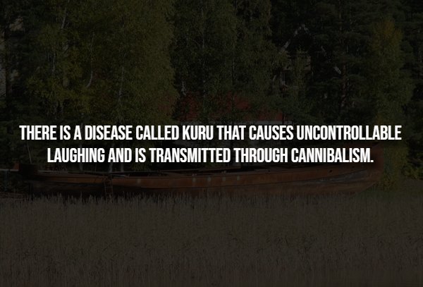 Creepy Facts (14 pics)