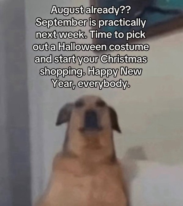 Funny Memes (23 pics)
