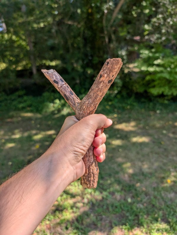 Interesting Finds (24 pics)